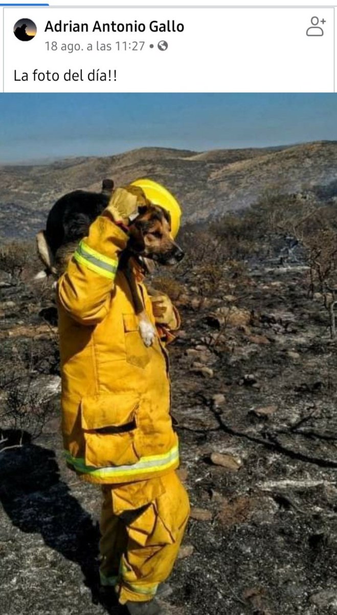 Soledad Tarquini tweet media