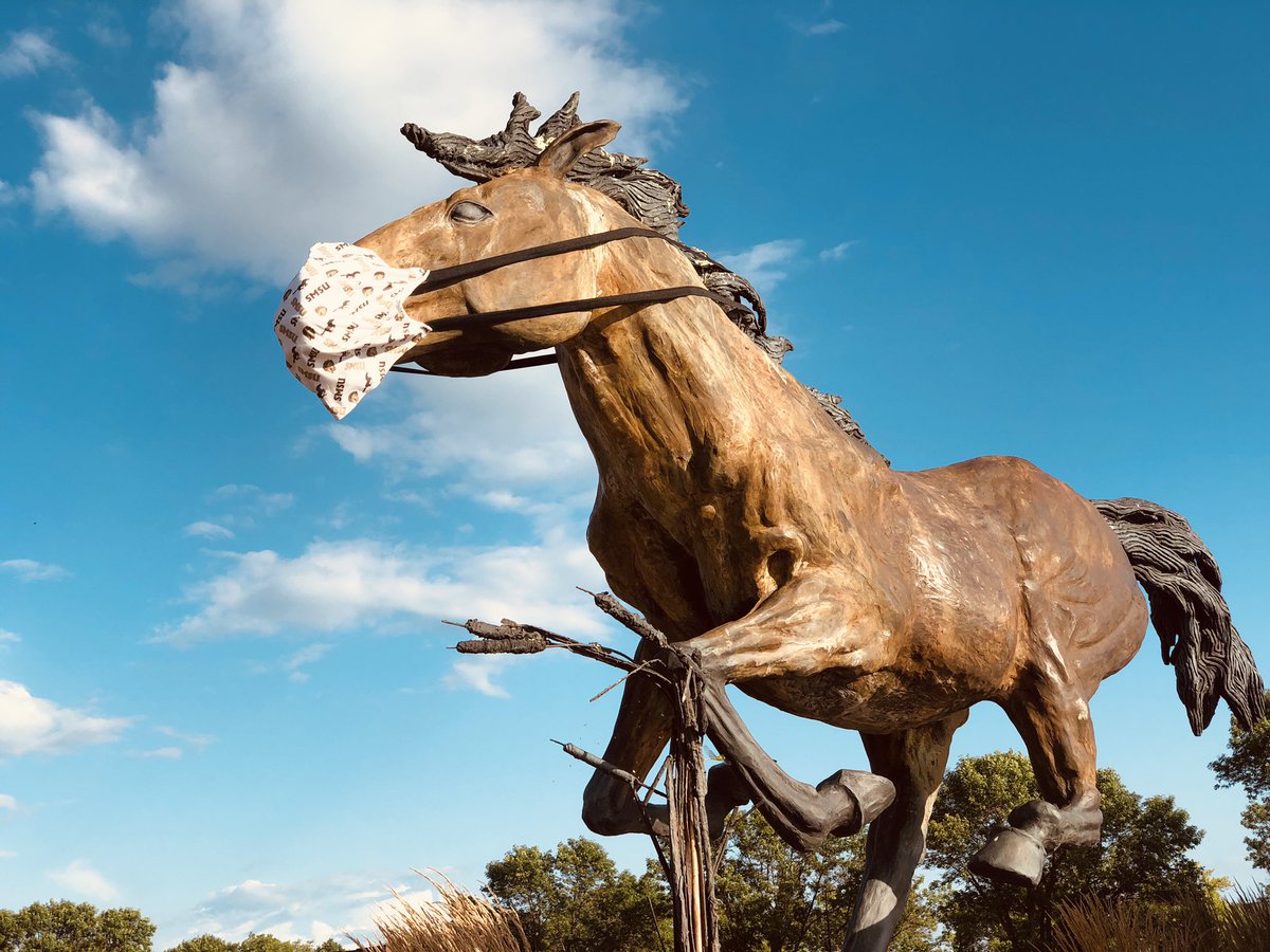 SMSUToday's tweet photo. First day of fall semester classes at SMSU today! Share your first day mask selfies with us! #mustangsreturn #mustangsmaskup https://t.co/0b3A1vGjgP