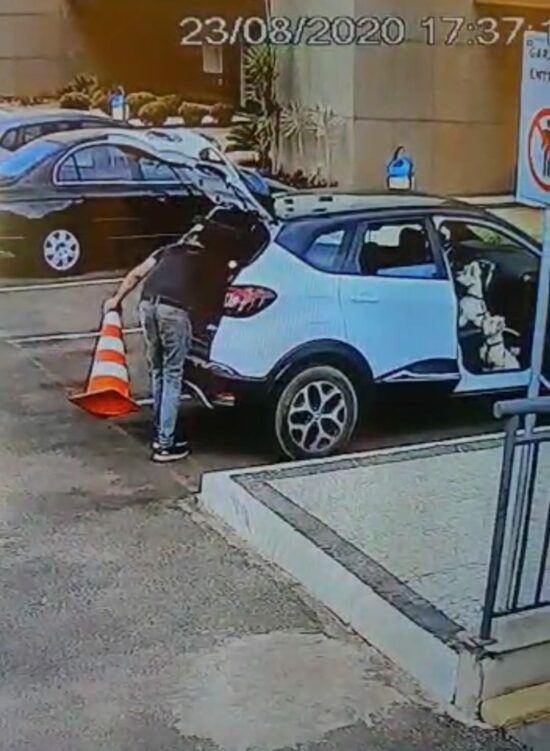 janepinha 💚💛💙 tweet media