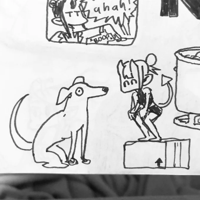 New greyhound 
