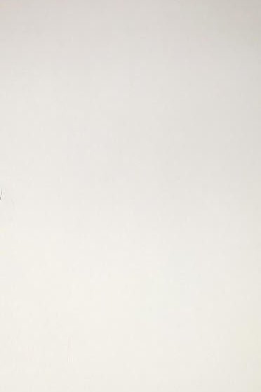 PoundTheirSkull's tweet image. 𝙵𝚞𝚌𝚔 𝚝𝚑𝚊𝚝 𝚕𝚒𝚝𝚝𝚕𝚎 𝚖𝚘𝚞𝚜𝚎 
        ‘𝙲𝚊𝚞𝚜𝚎 𝙸’𝚖 𝚊𝚗 
           𝘼𝙡𝙗𝙖𝙩𝙧𝙖𝙤𝙯
__________________________

  ♔ ᴍʏ ʜᴇʀᴏ ᴀᴄᴀᴅᴇᴍɪᴀ ᴏᴄ
  ♔ ᴀ ғᴀʟʟᴇɴ ᴘᴇᴛᴀʟ ᴏғ #ғᴀᴜxғʟᴏᴡᴇʀs

                       《♡:↺》