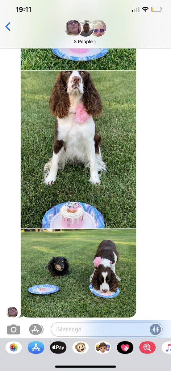 jess_grayce's tweet photo. My mom went out and bought the dog a birthday cake and sent pictures to the family group chat https://t.co/whYgM3SsxE