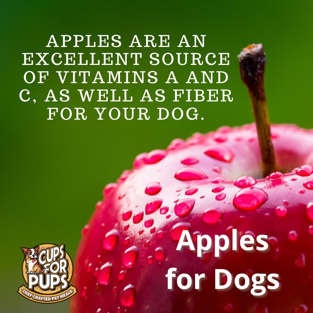 CupsForPup's tweet photo. Yes, dogs can eat apples. Apples are an excellent source of vitamins A and C, as well as fiber for your dog. Just be sure to remove the seeds and core first. 
https://t.co/2Dkl3JGXxt 
.
#healthydog #bestdogfood #healthydogfood #dogfooddelivery #howtofeedyourpup  #localpickup https://t.co/i1iHg39oZN