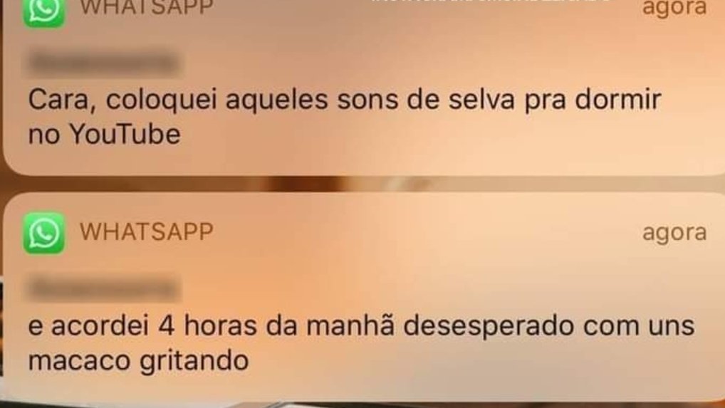 renatokkj's tweet image. 