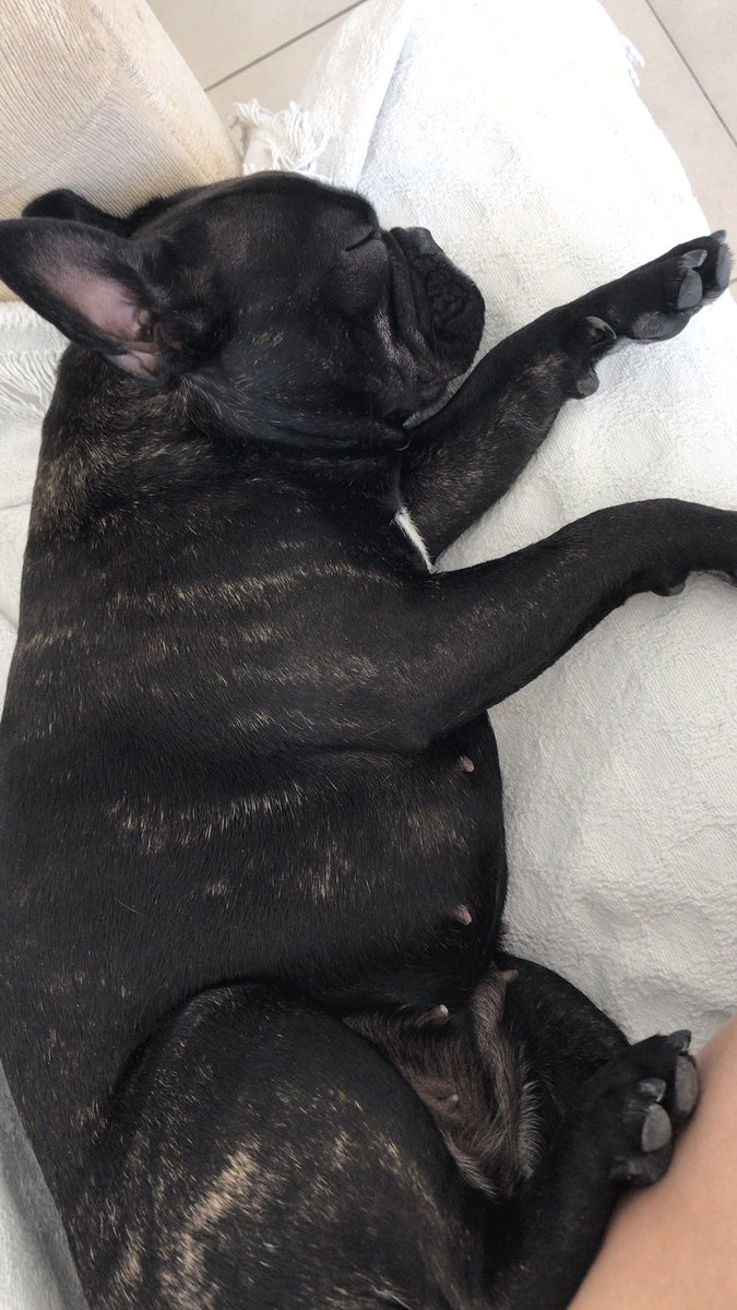 Te amo mi bebe❤️