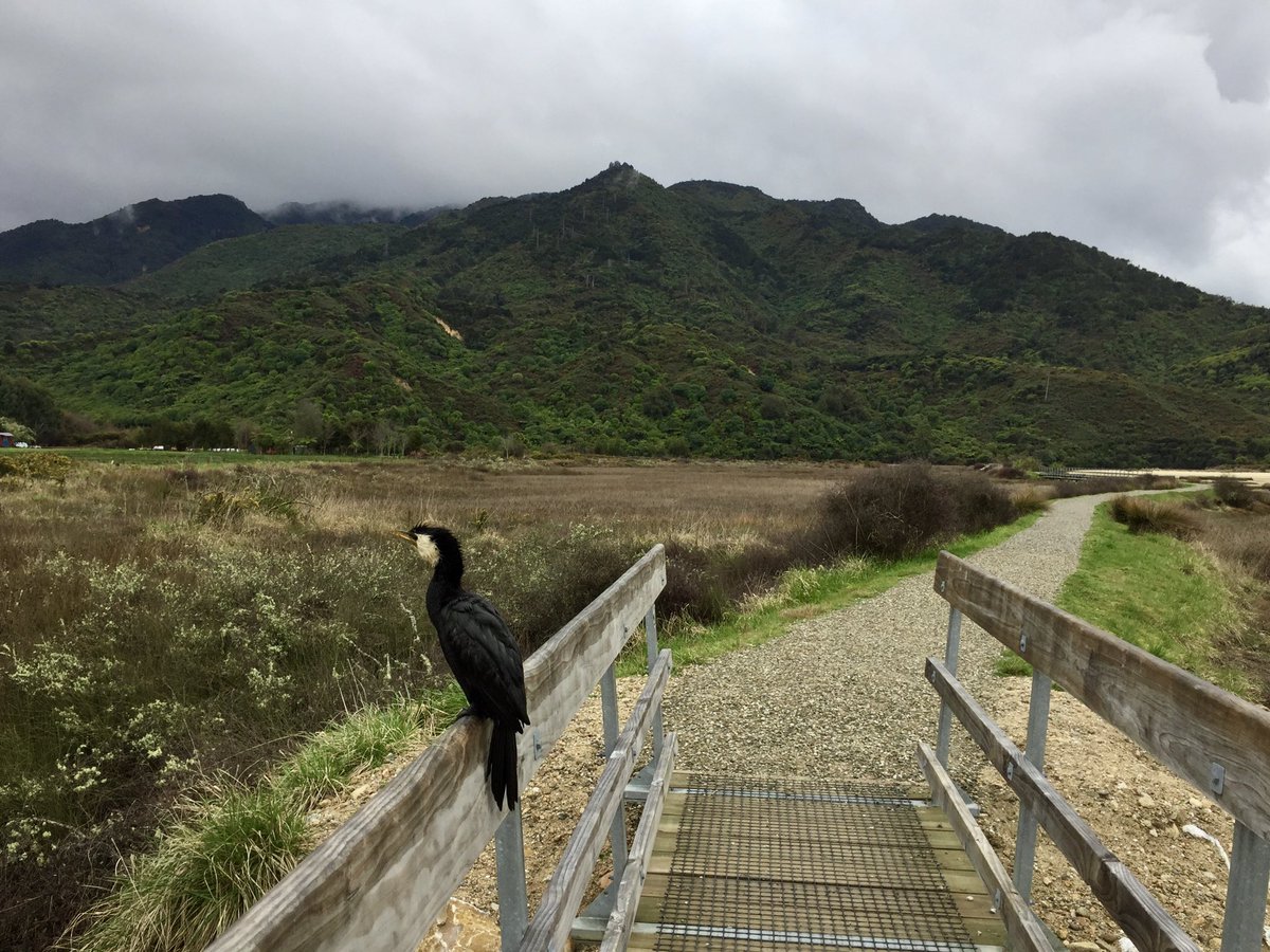 juliejamjar's tweet photo. 8.24km #runforkobe through the national park today #MambaDay 🏀🏃🏼♀️ https://t.co/aSWZWmuNMA