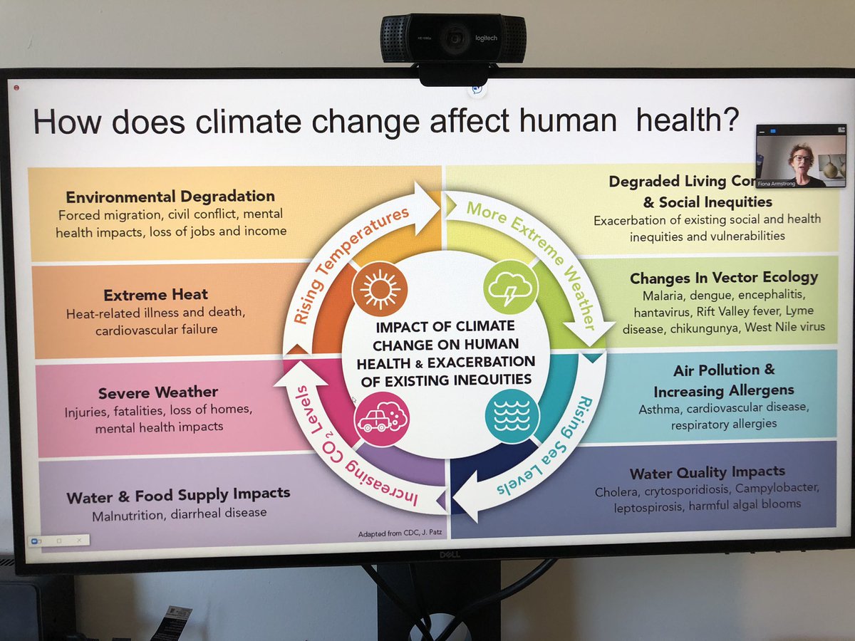 Fiona Armstrong of the Climate and Health Alliance quoting Mark Howdon “Every year matters, every half a degree matters, every choice matters” #sustainable #foodsystems #DA2020