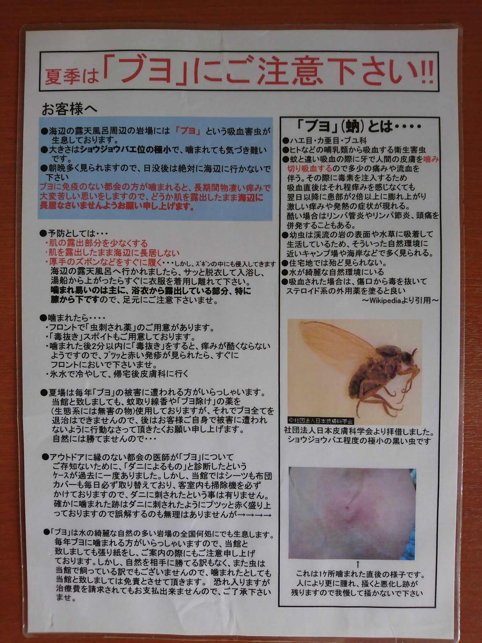 ブヨ に 刺され たら 薬