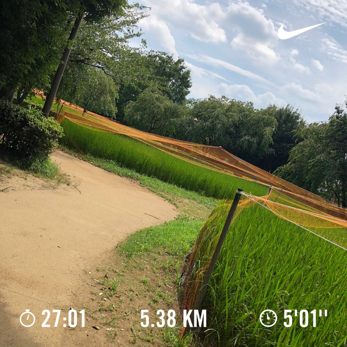 jima0505's tweet photo. 朝run終了🏃♂️🏃♂️🏃♂️
だいぶ日差しが柔らかくなってきた〜〜🌞
#run #BGMは #一寸先闇バンド #汗だく #デトックス #リフレッシュ #nike #ナイキランクラブ #走る人 #sockdart #workout #runstagram #ジマカメ #nikon #d5300 https://t.co/vQ4ZMwutqT