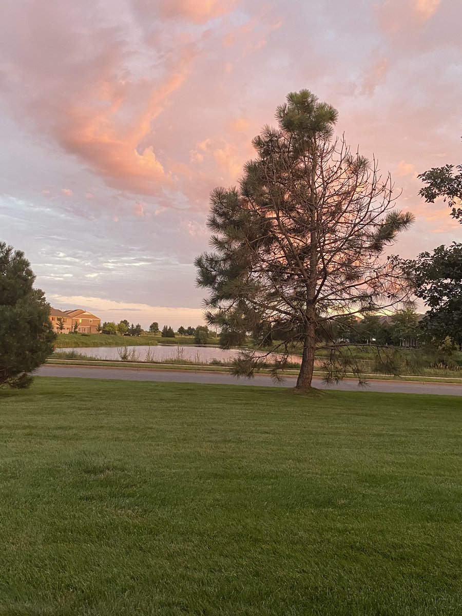teachmiddles's tweet photo. Enjoying the final few sunsets and my house + cabin! #ab7summerclosure https://t.co/SKlJ7Z4BKT