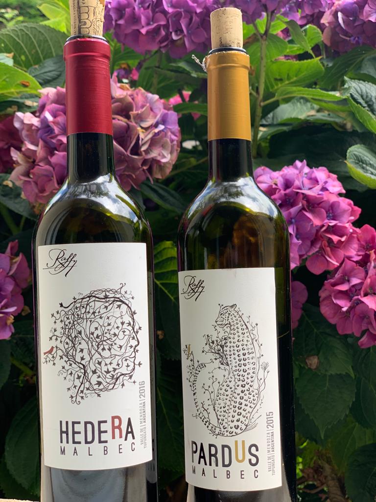 RaffyZanchetta's tweet photo. Nuestra #LineaDionisios en todo su esplendor 🤩
#BodegaRaffy #RaffyZanchetta #Tupungato #VinoArgentino https://t.co/GEdX3aVfkC
