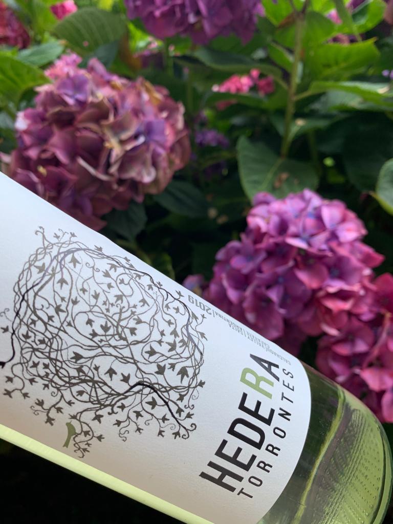RaffyZanchetta's tweet photo. Nuestra #LineaDionisios en todo su esplendor 🤩
#BodegaRaffy #RaffyZanchetta #Tupungato #VinoArgentino https://t.co/GEdX3aVfkC