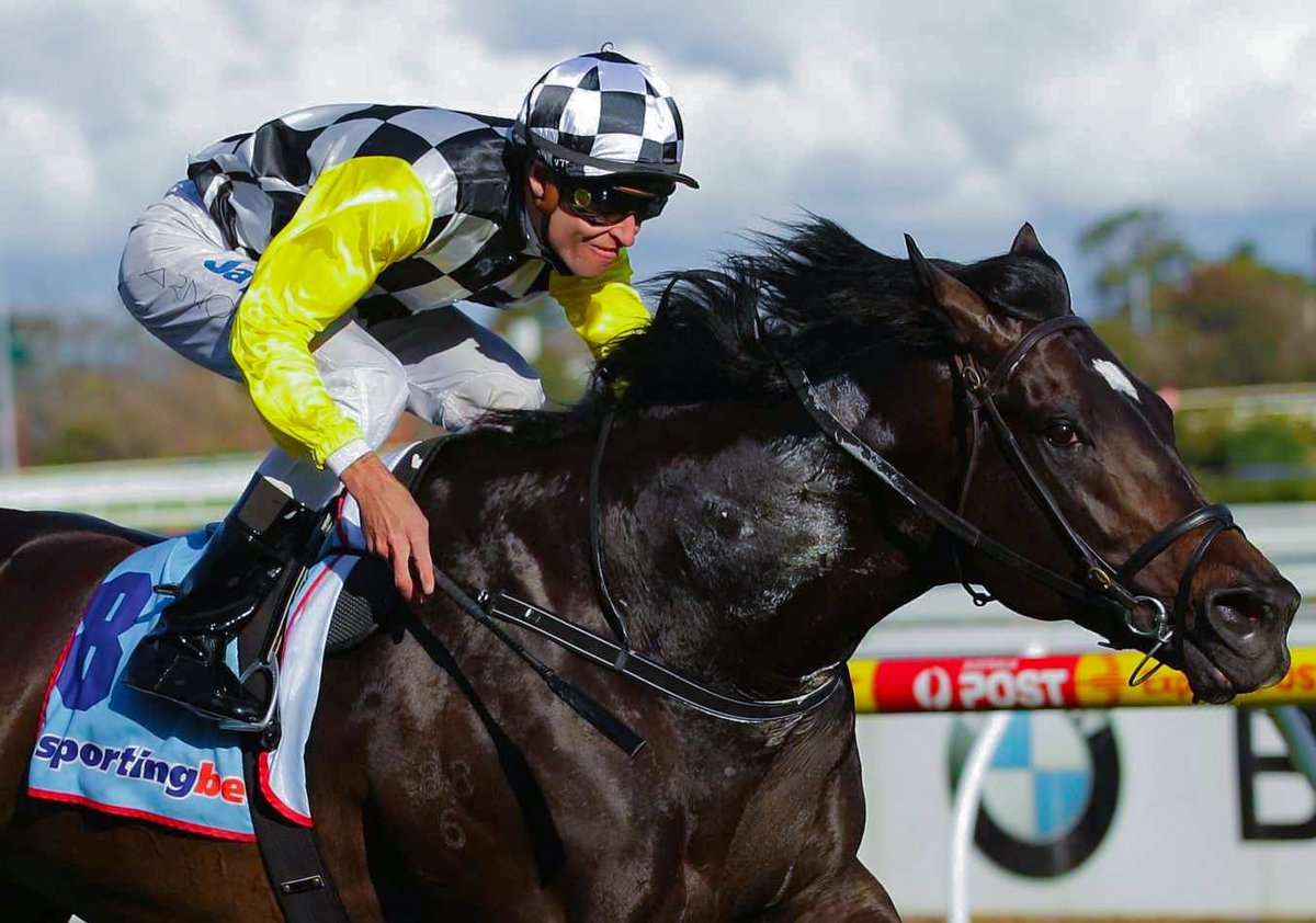 SO YOU THINK (Steve Arnold) bounced off his superlative 2010 Spring assault by winning the Memsie at the luxurious odds of $6.50. Stats, history &amp; facts on the Memsie can be found at : formfocus.com.au/group-one-reco…