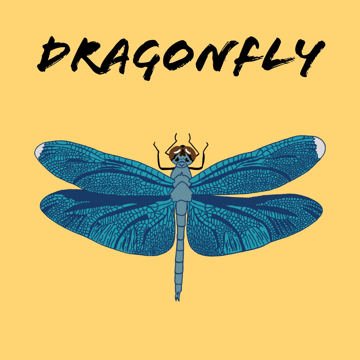 AWW_book's tweet photo. Finally DOOOONE! DRAGONFLY!
Who can guess its weapon? Remember it has to rhyme. And check out my old one, such a difference!

#squaredidea #AWW #mtl #indieartists #indiecomics #mtlartist #mtlart #indieartist #indiecomic #comicstrips #comicstrip #animalswithweapons #dragonfly https://t.co/4b5IL107Qh