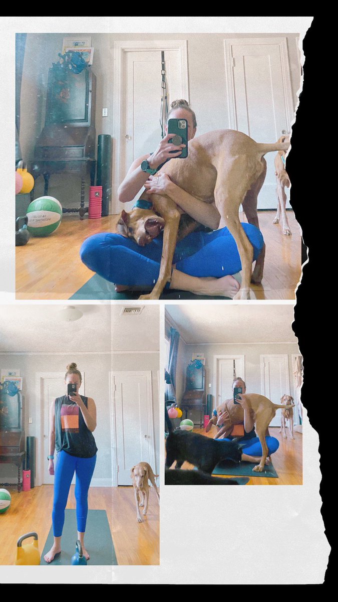 Never miss a MONDAY!