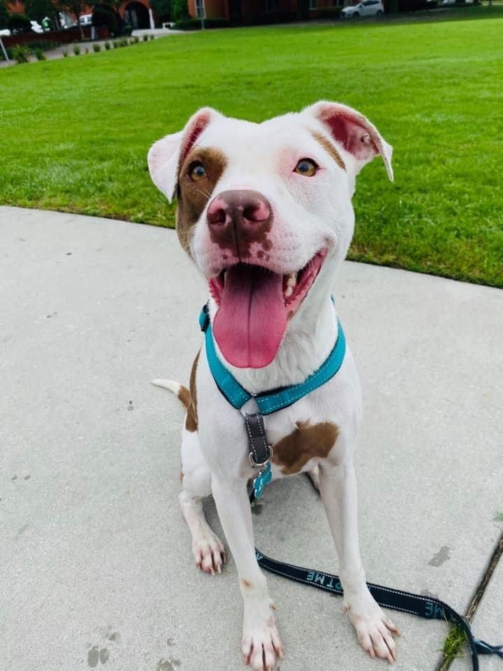 HSGSav's tweet image. 