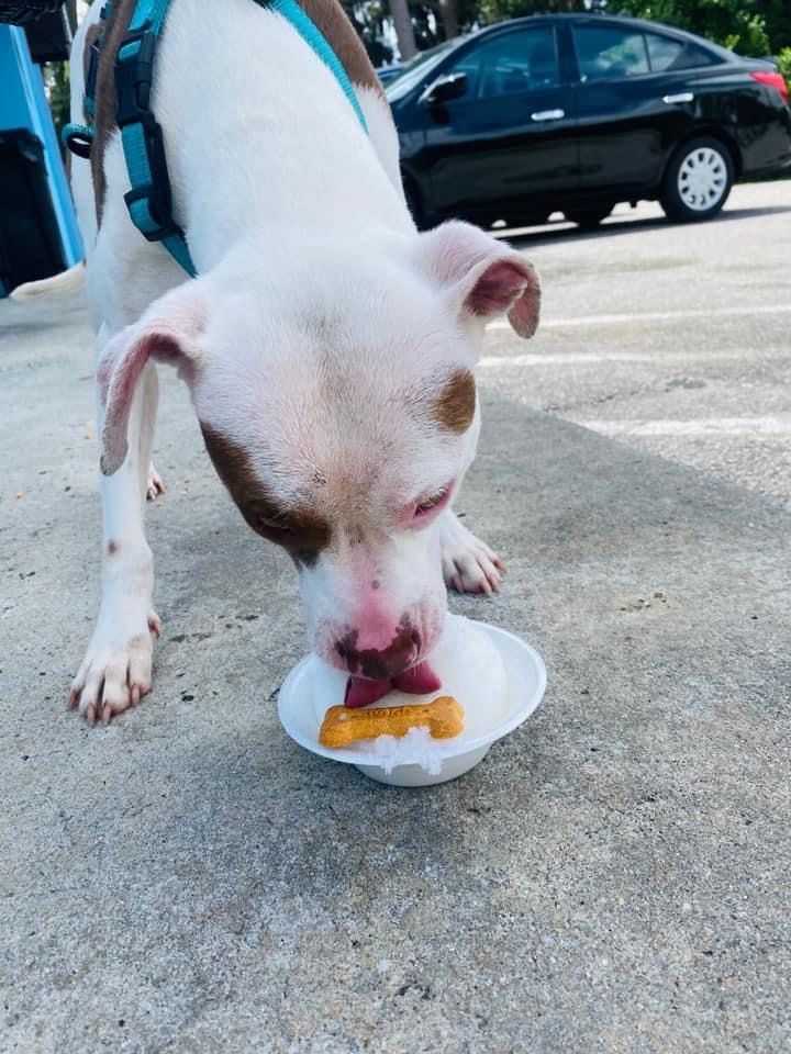 HSGSav's tweet image. 