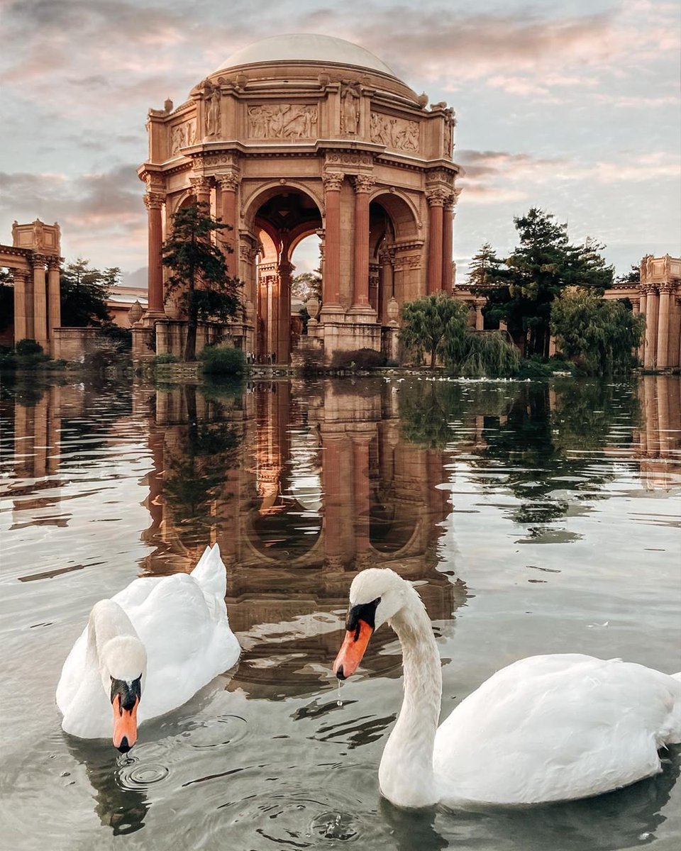 📸: <a href="/jadenklebe/">倫壘튱ㆄ튠</a> - Classic San Francisco. We can't wait for you to rediscover it at the Palace of Fine Arts when the time is right. Is this your first stop when you come back to visit? #AlwaysSF