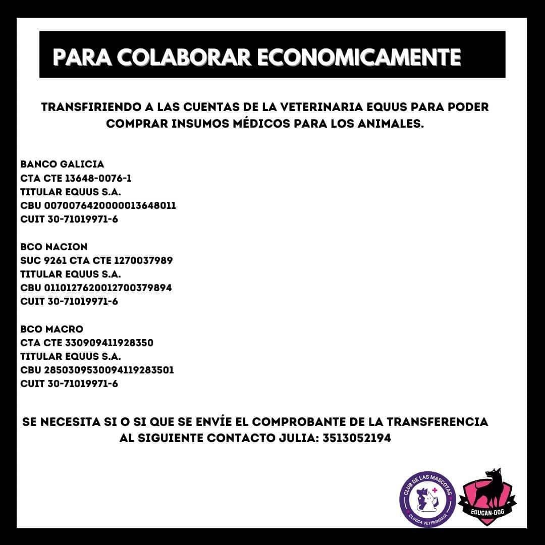 Cotib8's tweet photo. Hola! En córdoba se nos está quemando la provincia y tratamos de ayudar en lo que podamos.. nos dan rt? @fetcheves @Floxie10 @majogm @quiz_viajero @floreviajera @flandivar @chinasuarez @Fatinoriega @MalenaStein @marianoheller @dadatina @SirChandler @SirChandlerBlog https://t.co/noB1K1gFlX