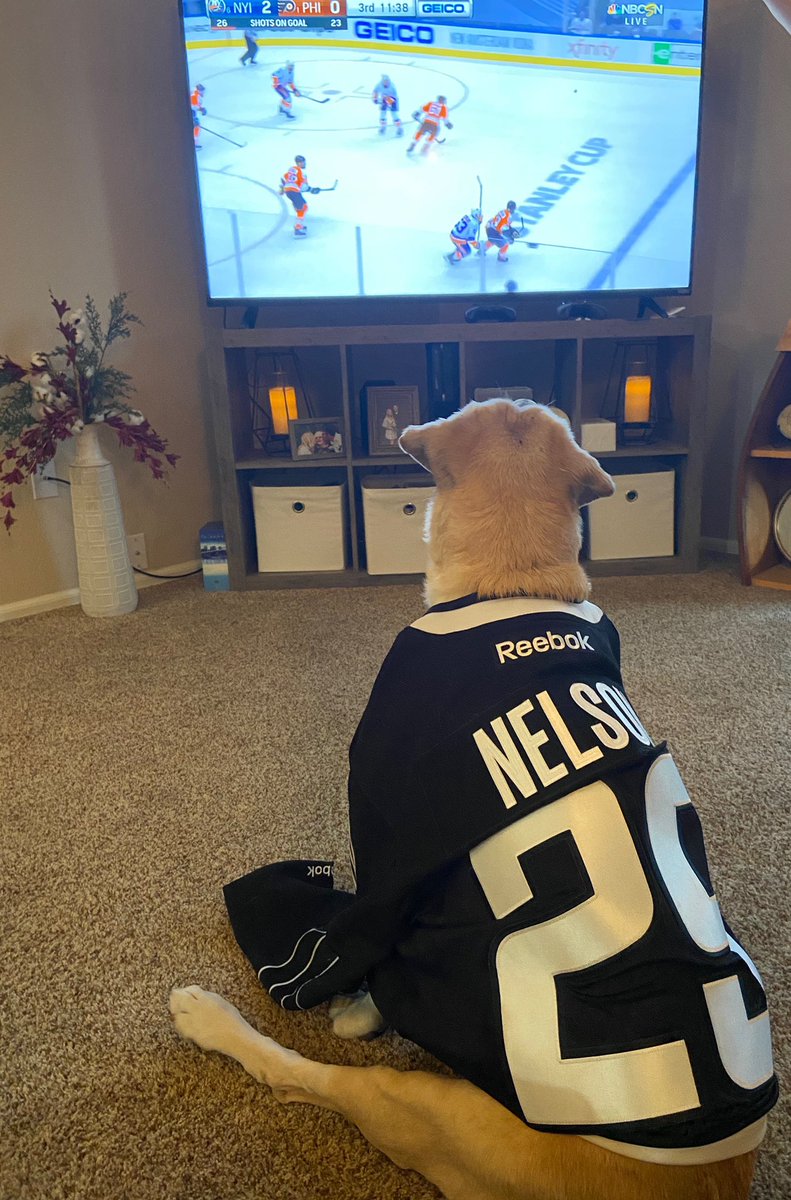 Caylanelson4's tweet photo. Maggie is excited for round 2! Go Isles Go @NYIslanders https://t.co/9gD0yfJLKY