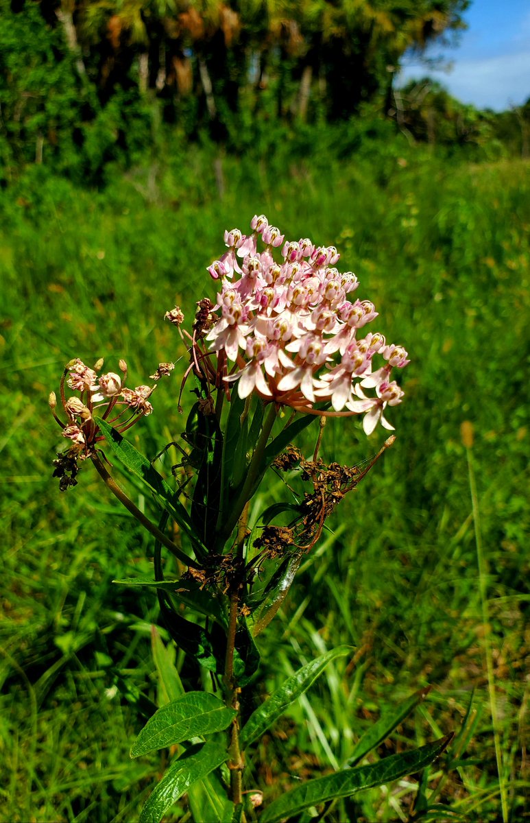 a_charlie15's tweet image. It was a great Monday working in the field.