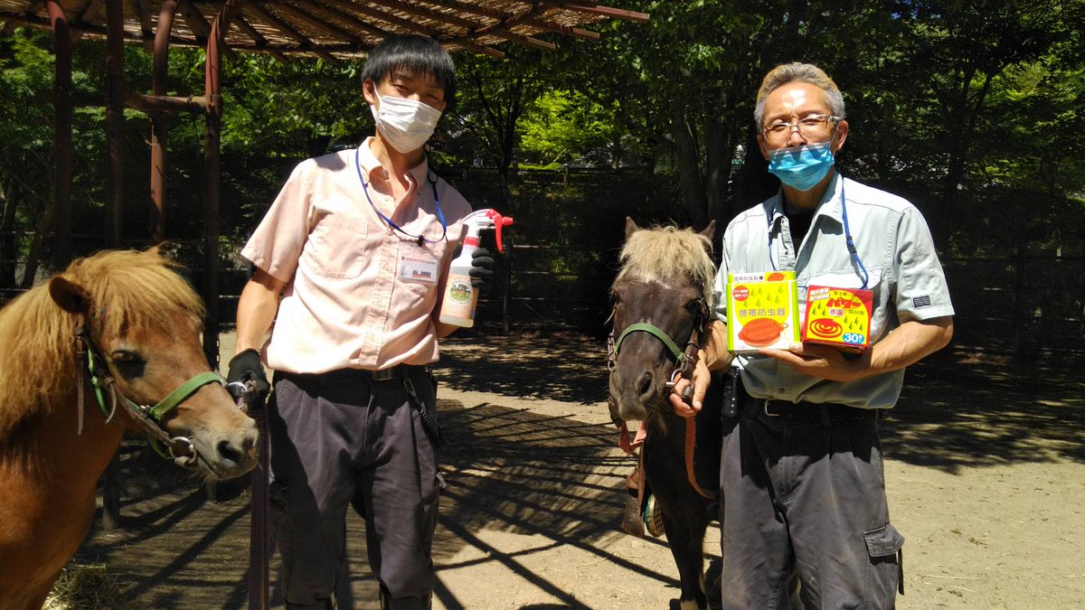 盛岡市動物公園 Zoomo Amazon欲しいものリストで天然素材の虫除け剤と協力虫除け線香を追加で頂きました これで パカパカ広場で大活躍してくれているポニーの カズヤ と ポポ の2頭分そろいました ありがとうございます