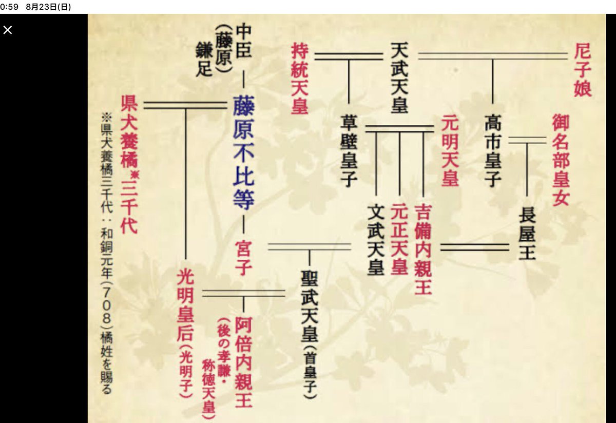 溝田孝一 鎌足2代目 藤原不比等 の家族構成 政治に於いては摂関政治の原点を築き 住居は 平城宮の東側の一等地に隣接する八丁に住み 子供は 長男武智麻呂 南家祖 次男房前 北家祖 三男宇合 式家祖 四男麻呂 京家祖 そして 長女宮子 文武天皇皇后 溝田孝一 鎌足2代目 藤原不比等 の家族構成 政治に於いては摂関政治の原点を築き 住居は 平城宮の東側の一等地に隣接する八丁に住み 子供は 長男武智麻呂 南家祖 次男房前 北家祖 三男宇合 式家祖 四男麻呂 京家祖 そして 長女宮子 文武天皇皇后