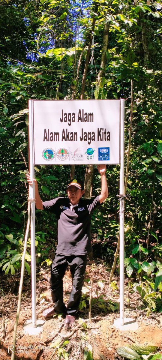 SumatranTigerID's tweet photo. Partisipasi Anda diperlukan untuk merawat papan amaran ini agar terus bermanfaat, bagi satwa, lingkungan dan masyarakat. #TigerUpdate #SaveSumatranTigers #SumatranTigers #TNBBS https://t.co/t7ocmJNvhp