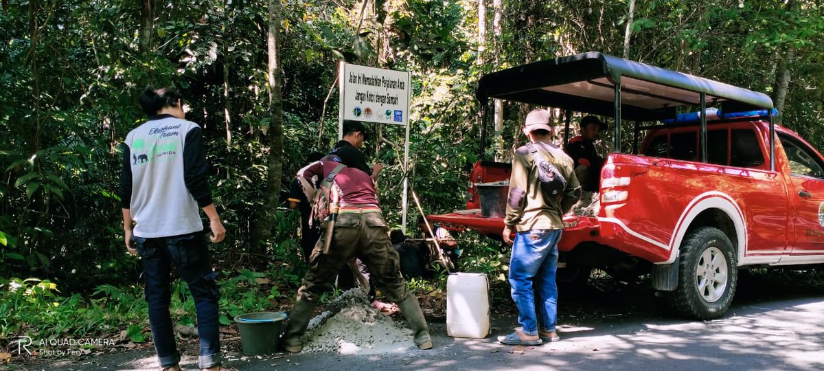 SumatranTigerID's tweet photo. Partisipasi Anda diperlukan untuk merawat papan amaran ini agar terus bermanfaat, bagi satwa, lingkungan dan masyarakat. #TigerUpdate #SaveSumatranTigers #SumatranTigers #TNBBS https://t.co/t7ocmJNvhp