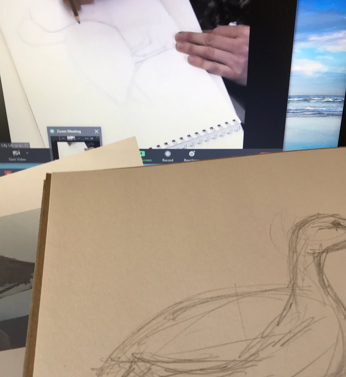 My wonderful local library has been offering nature drawing classes online. Great for #SocialDistancing  during #COVID19  Thank you #NSWPublicLibraries