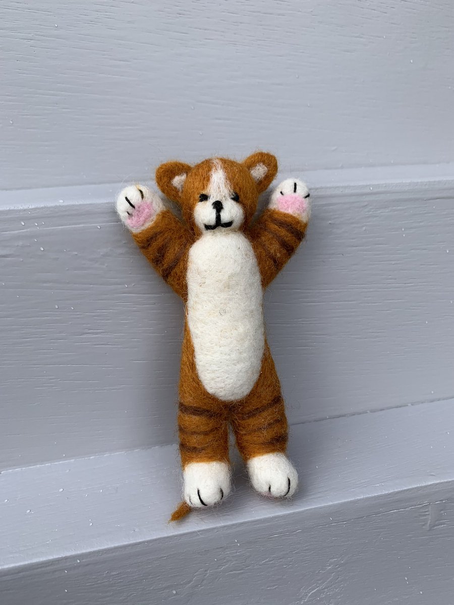 everything_felt's tweet image. Good morning... Anyone for a tummy tickle🐈#CatsOfTwitter #catsofinstagram #cats #feltedanimals #needlefelting #lovecats #felt #wool