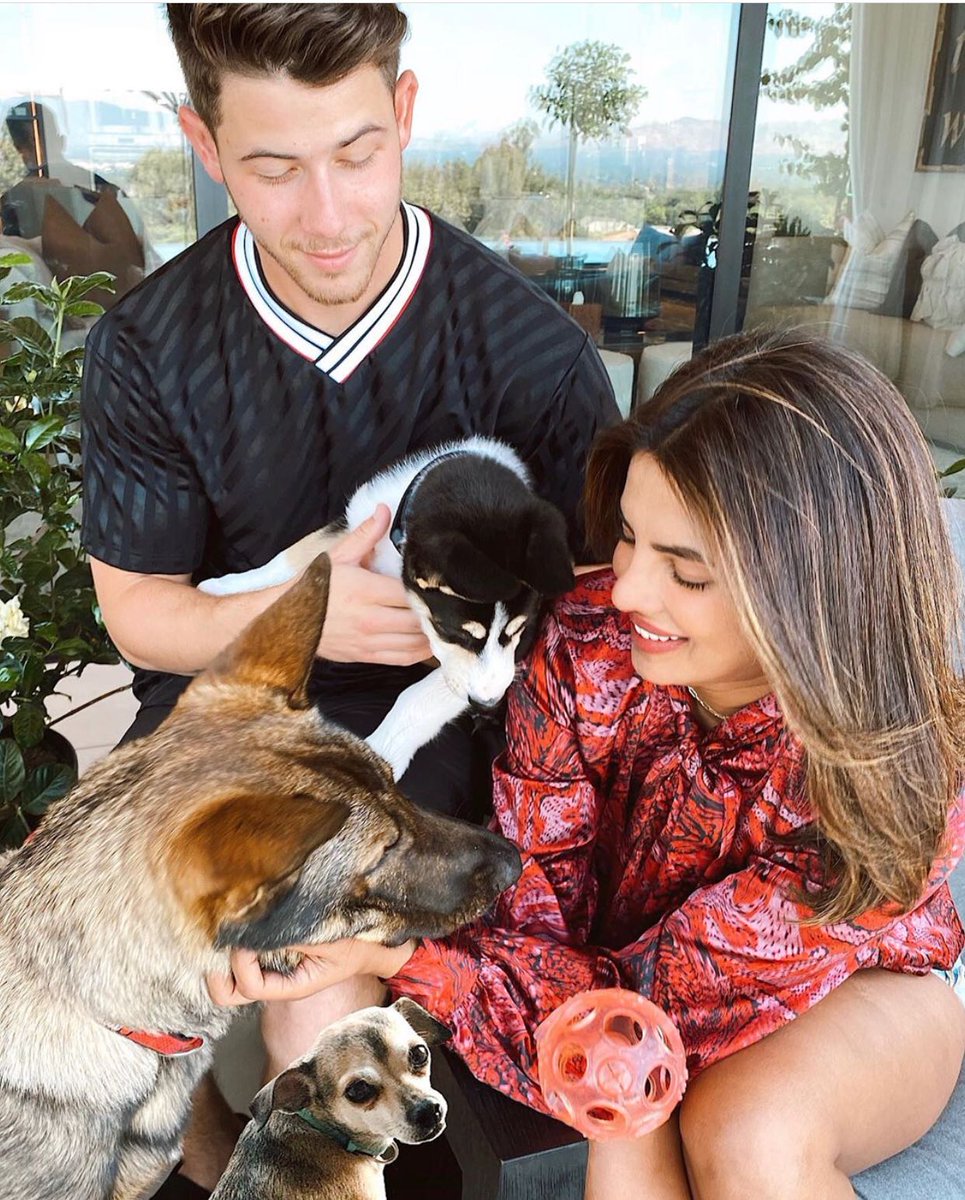 goodhomesindia's tweet photo. First time pet parent? Transform your home into a pet friendly abode to pamper your furry companion. 
To read more, click the link in our bio and head to the website
Photograph: @priyankachopra
#goodhomesmagazine #petfriendlyhome #petproofing #homes #pets #cat #dogs https://t.co/VYOEu5JUE5