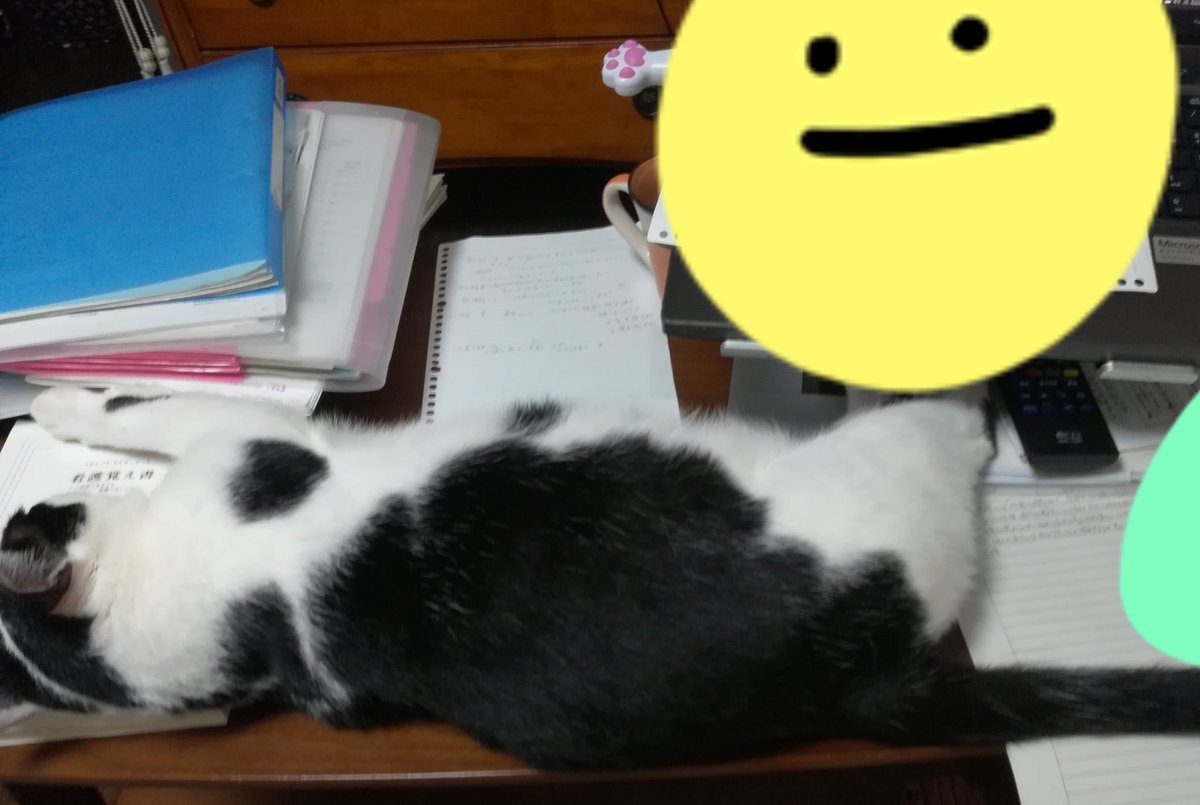よこちん Mrssi3g4nkgwdye Twitter よこちん Mrssi3g4nkgwdye Twitter