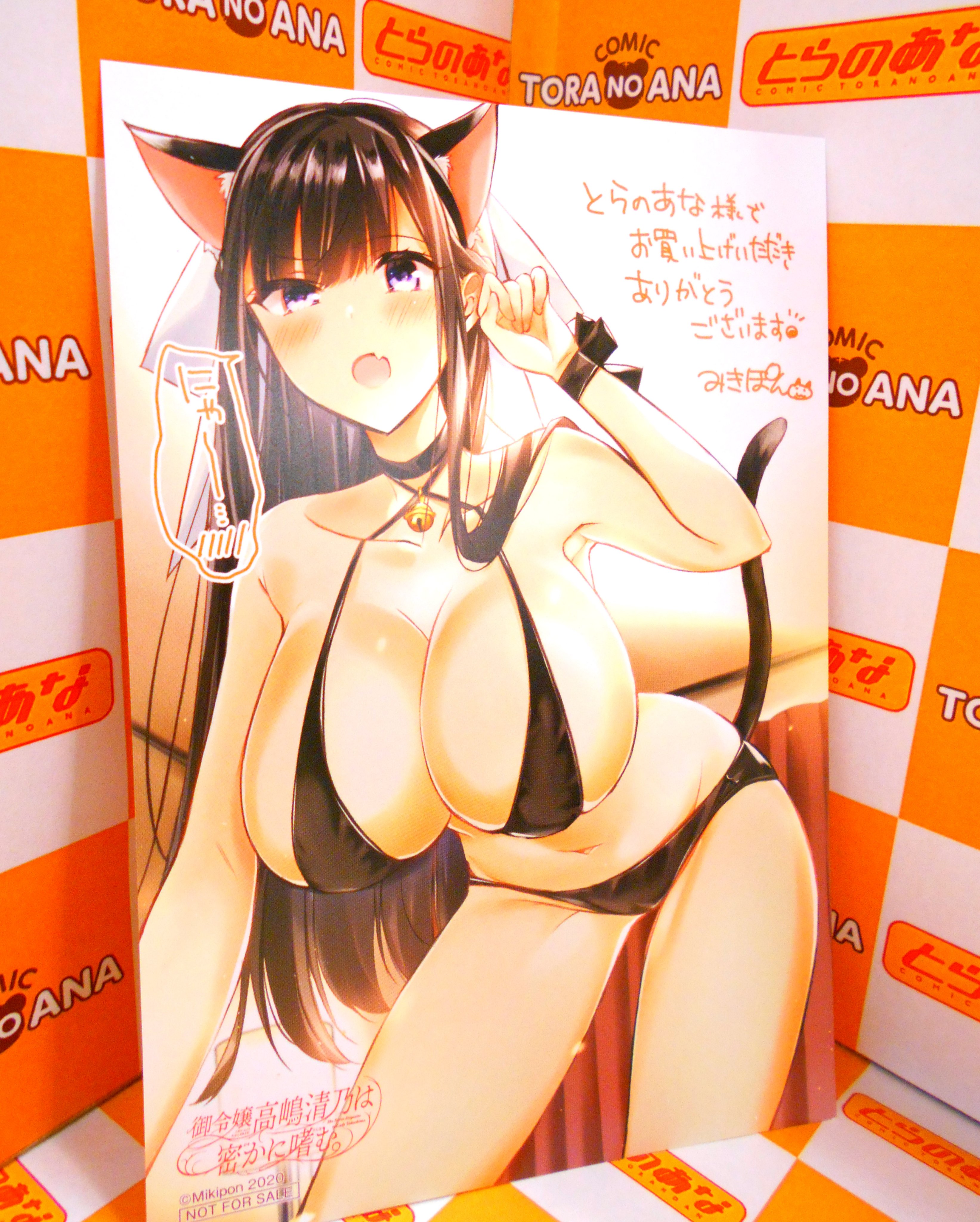 とらのあな書籍営業担当（本物ﾀﾞﾖ） on Twitter: 