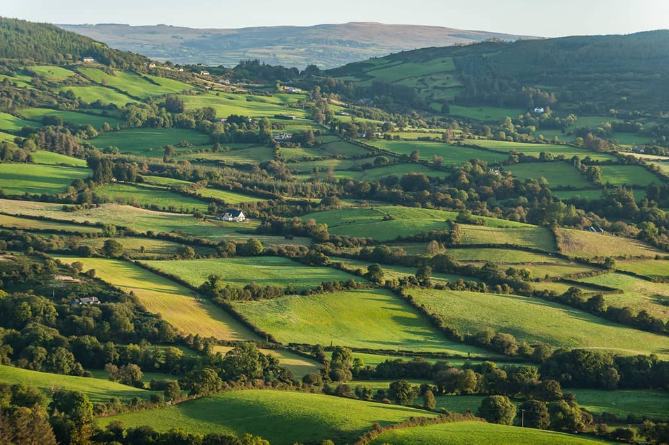 Moylussa, Lough Derg what a view! A simple image you might see every day, but it captures the essence of Ireland so beautifully...shades of green!
Looking at this we can appreciate what it is our visitors from across the oceans rave about. Stunning shot by @mkalvaster⁠