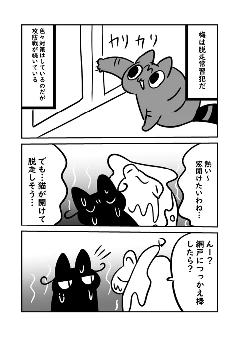 実家の梅ちゃんは力が物凄く強い #猫パン日記 #ぬら次郎日記 