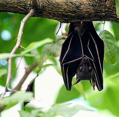 Jo Jorgensen On Twitter Good Night America Don T Forget To Hang In There Tomorrow Is Another Day Closer To Freedom Election2020 Votelibertarian Https T Co 668huydasu