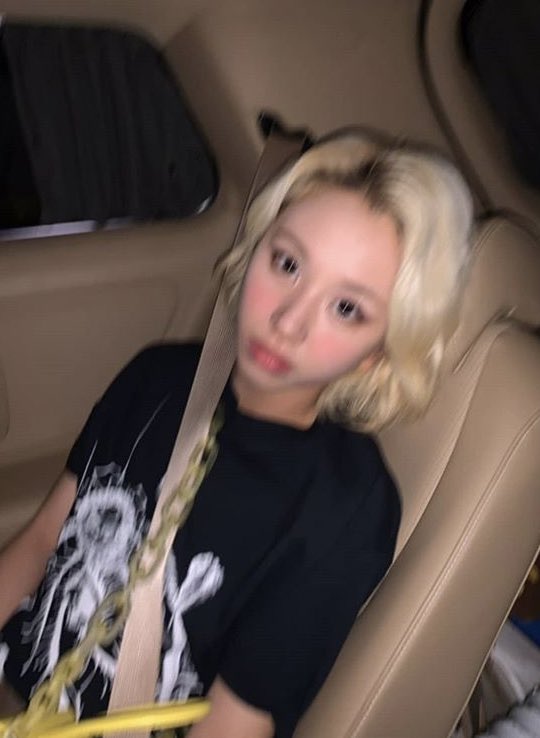 chaeypics's tweet photo. twicetagram update ✨ https://t.co/WJjfxFUfuK