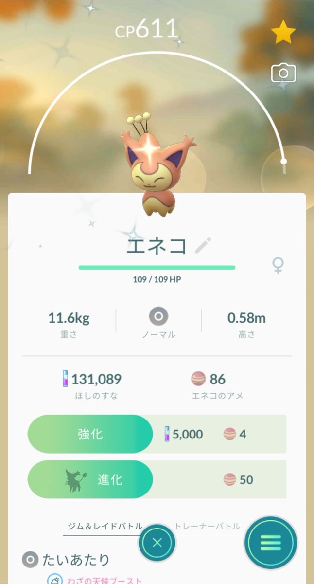 ポケモン エネコ 進化 最高の新しい壁紙qhd