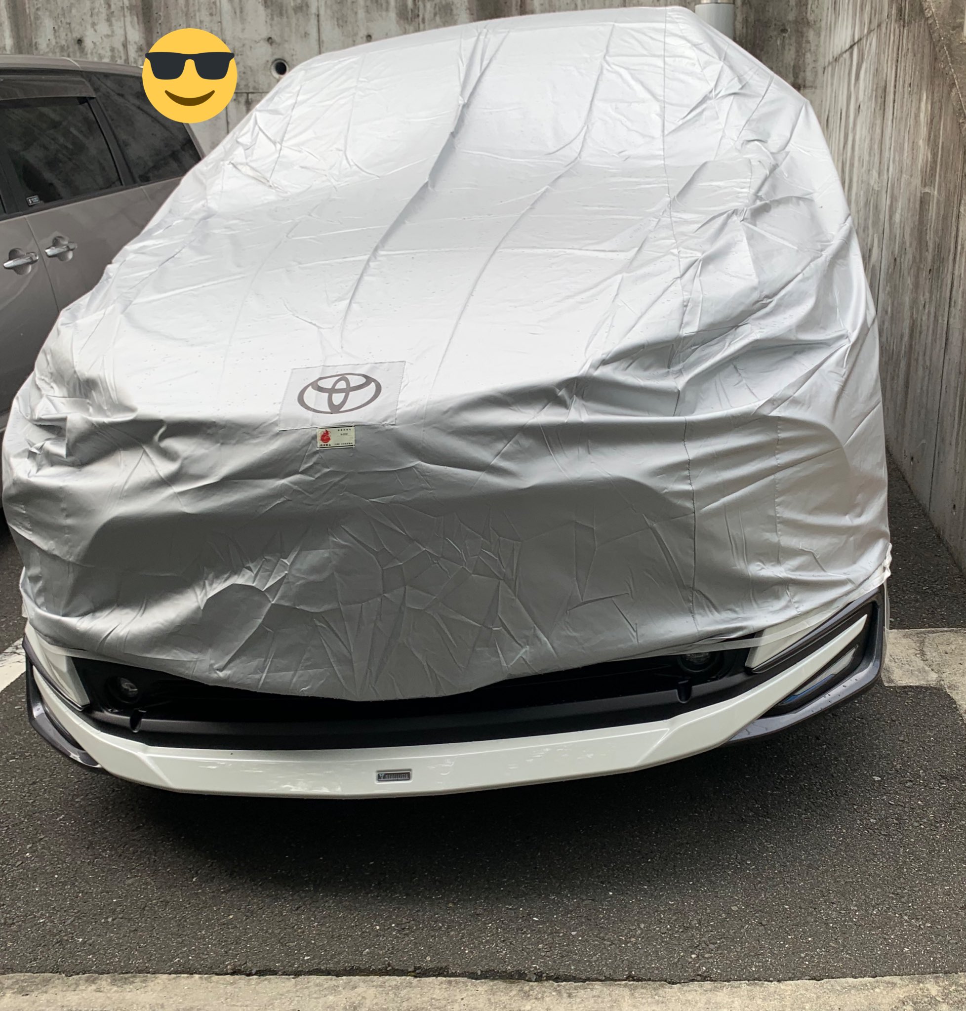 ぷらちなむ 80ハリア どーしてもいたずら ボディの痛みが気になり純正ボディカバーをネットで購入 Dopはだいたい後悔はなくて お薦め出来てたけど このボディカバーは正直お薦めしにくいw モデリスタ付けてたら フロントの顎で出ちゃうしw そして一回