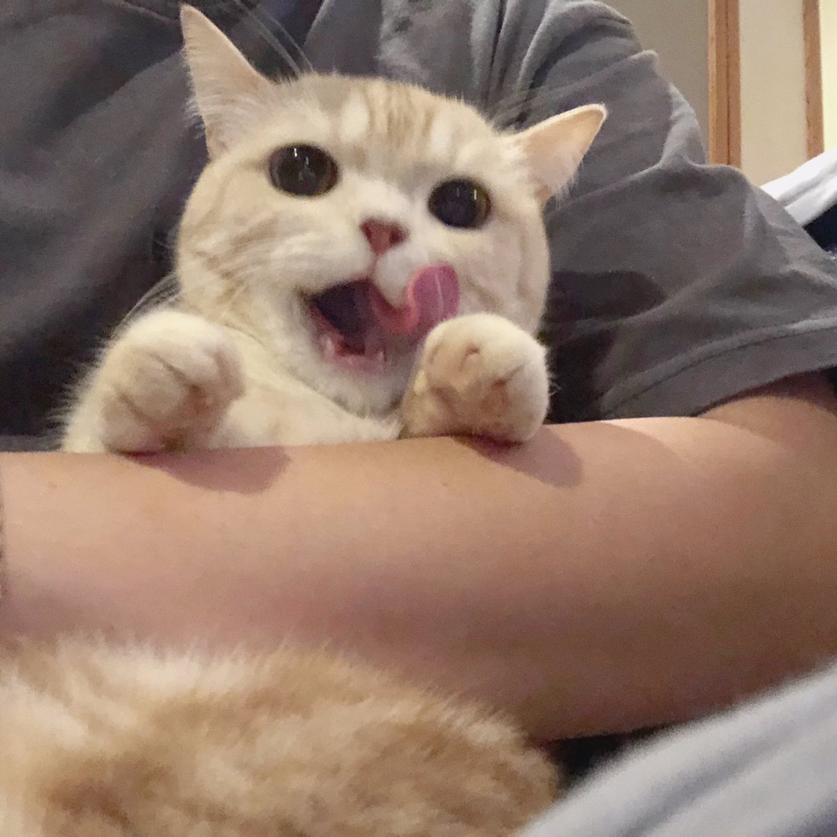 Also Follow Jia Sally on Instagam👇
instagram.com/jia_and_sally