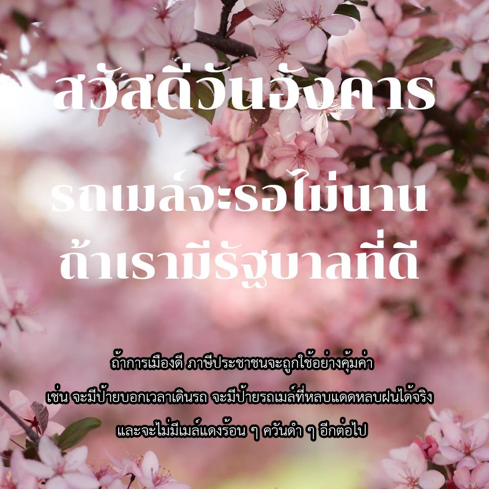 หมั่นโถว tweet media