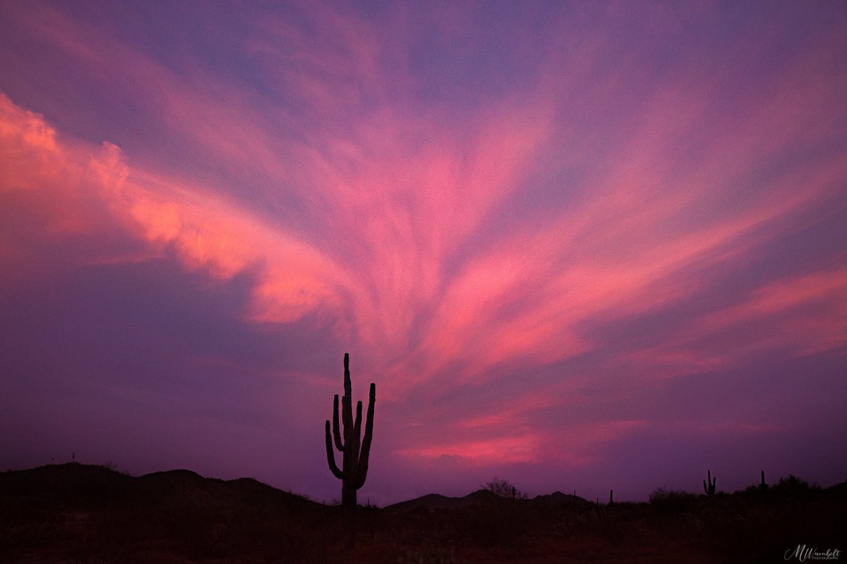 Phoenix Sunset
#Arizona #photographylovers  #beautifulsunsets