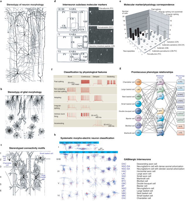 Paul McCullough tweet media