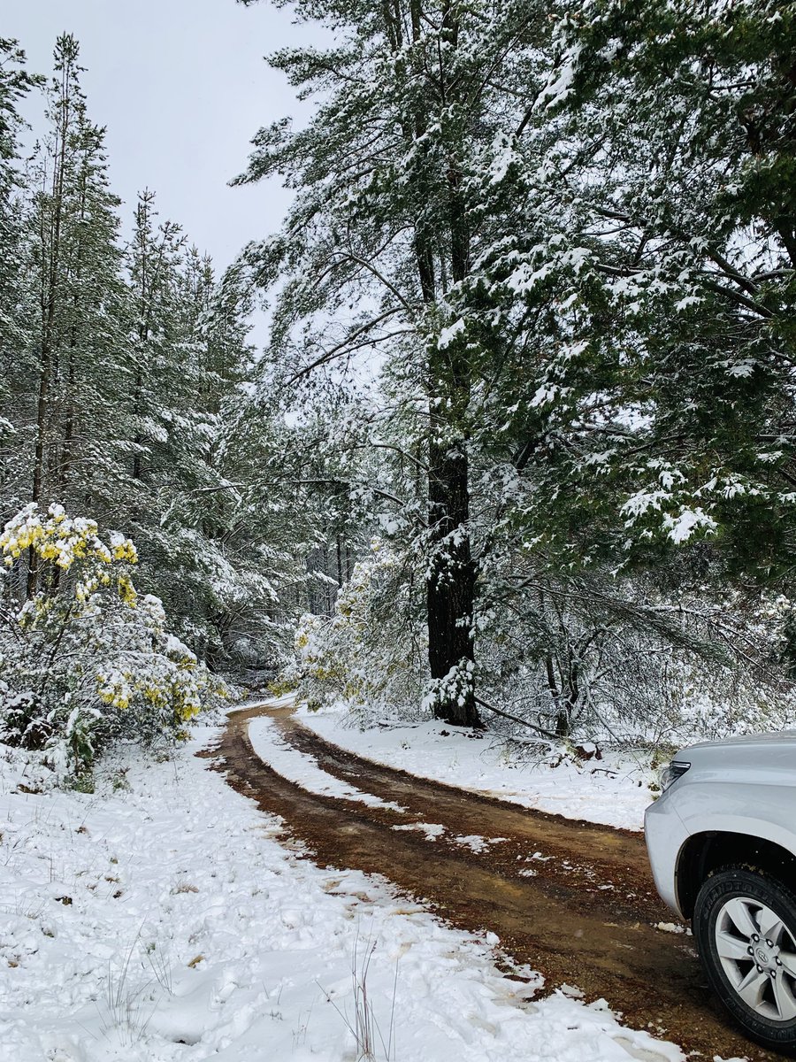 Sibatul_Ain_Mir's tweet photo. #snowtherapy #23Aug2020 #winterinaustralia #feltlikehome #gulmargvibes #missingkashmir https://t.co/YD8TRGKMBt
