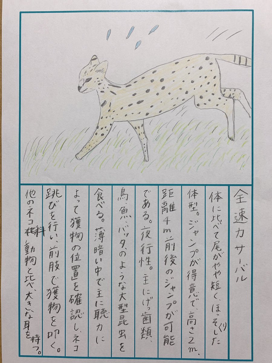 92日後に終わる絵日記 サーバル カラカル オグロヌー ピューマ タテガミオオカミ トムソンガゼル が公開 いよいよラスト目前 ジャパリ通信 けもフレというキセキに感謝を