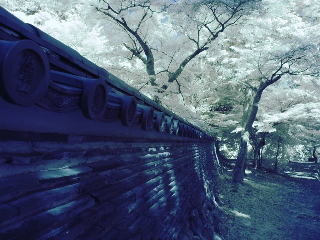 afuroossan's tweet photo. 自作赤外線カメラで撮影
色々な赤外線カメラで撮影したものを動画でアップロードしています
#赤外線 #赤外線写真 #infrared #infraredphotography #カラースワップ #fullspectrum #fullspectrumcamera #infraredcamera #infraredphotography #fullspectrumphotography https://t.co/15D4vtxQre https://t.co/X0g4qxP41a