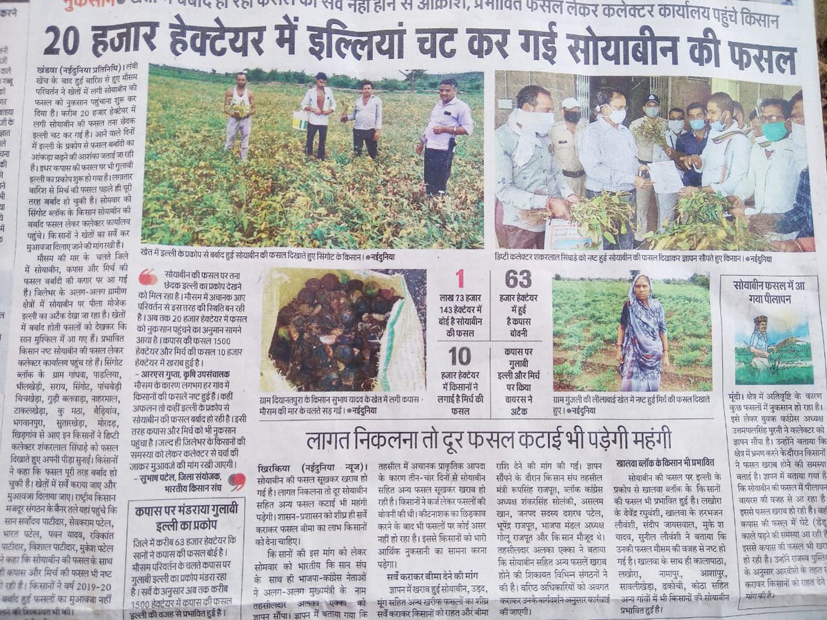 Ersarvodaya14's tweet photo. मुख्यमंत्री जी मध्य प्रदेश के किसानों की खबर लीजिए l 
 खरीफ वर्ष 2019 का मुआवजा बीमा किसानों को अभी तक नहीं मिला
 वर्तमान में सोयाबीन 100% खराब हो चुकी है
 क्या यह सरकार केवल कागजों पर ही चल रही हैं।
@ChouhanShivraj @KamalPatelBJP @minmpkrishi https://t.co/uWTwNdlfBo
