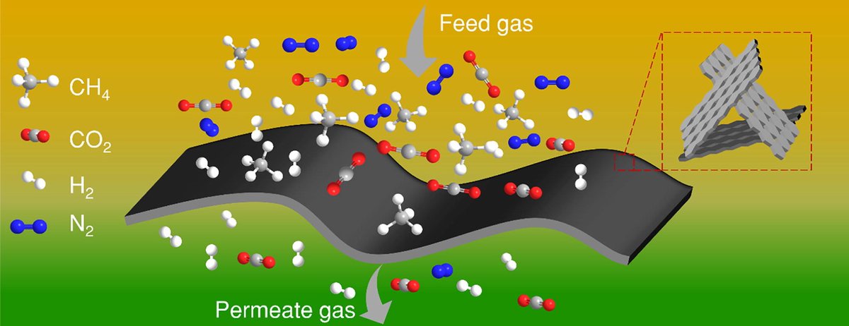 Check out our latest work on Carbon membranes for CO2 removal: Status and perspectives from materials to processes published in <a href="/Chem_Eng_J/">Chemical Engineering Journal</a> sciencedirect.com/science/articl…