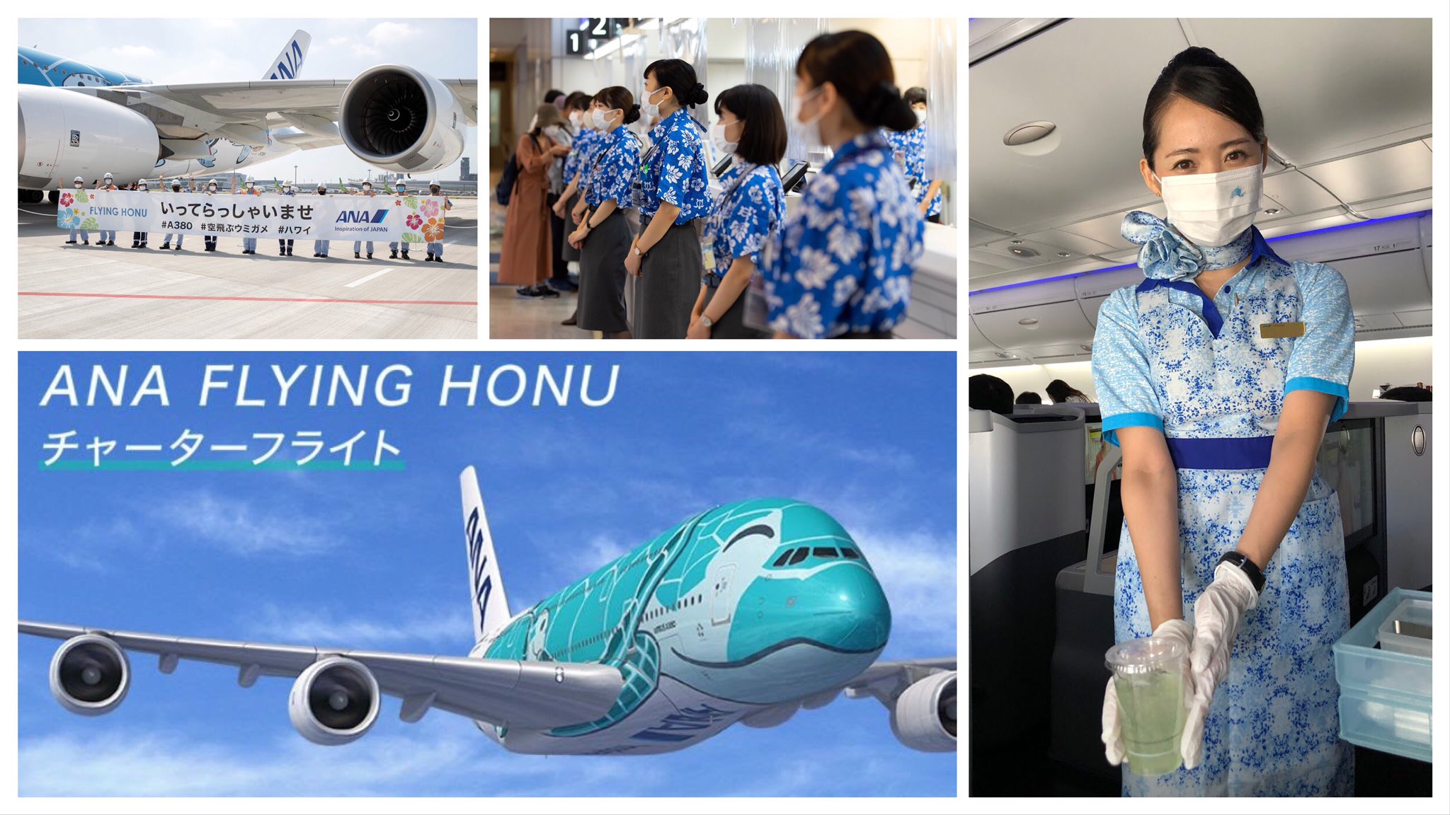 Ana旅のつぶやき 公式 A380体験フライト 8 22 土 に実施したa380 Flying Honuチャーターフライトでは約1時間半のフライトでハワイ気分をお楽しみいただきました ご好評につき 9 日 の開催が決定 本日募集がスタート 成田発着の遊覧飛行で